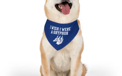 Pet Bandana Collar